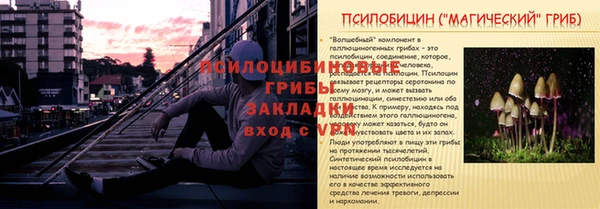 кокаин Новодвинск