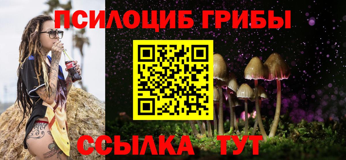 Псилоцибиновые грибы Psilocybe Нефтекумск